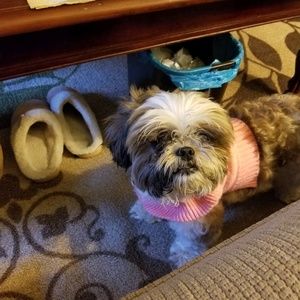 Meet your Posher, Stephenie